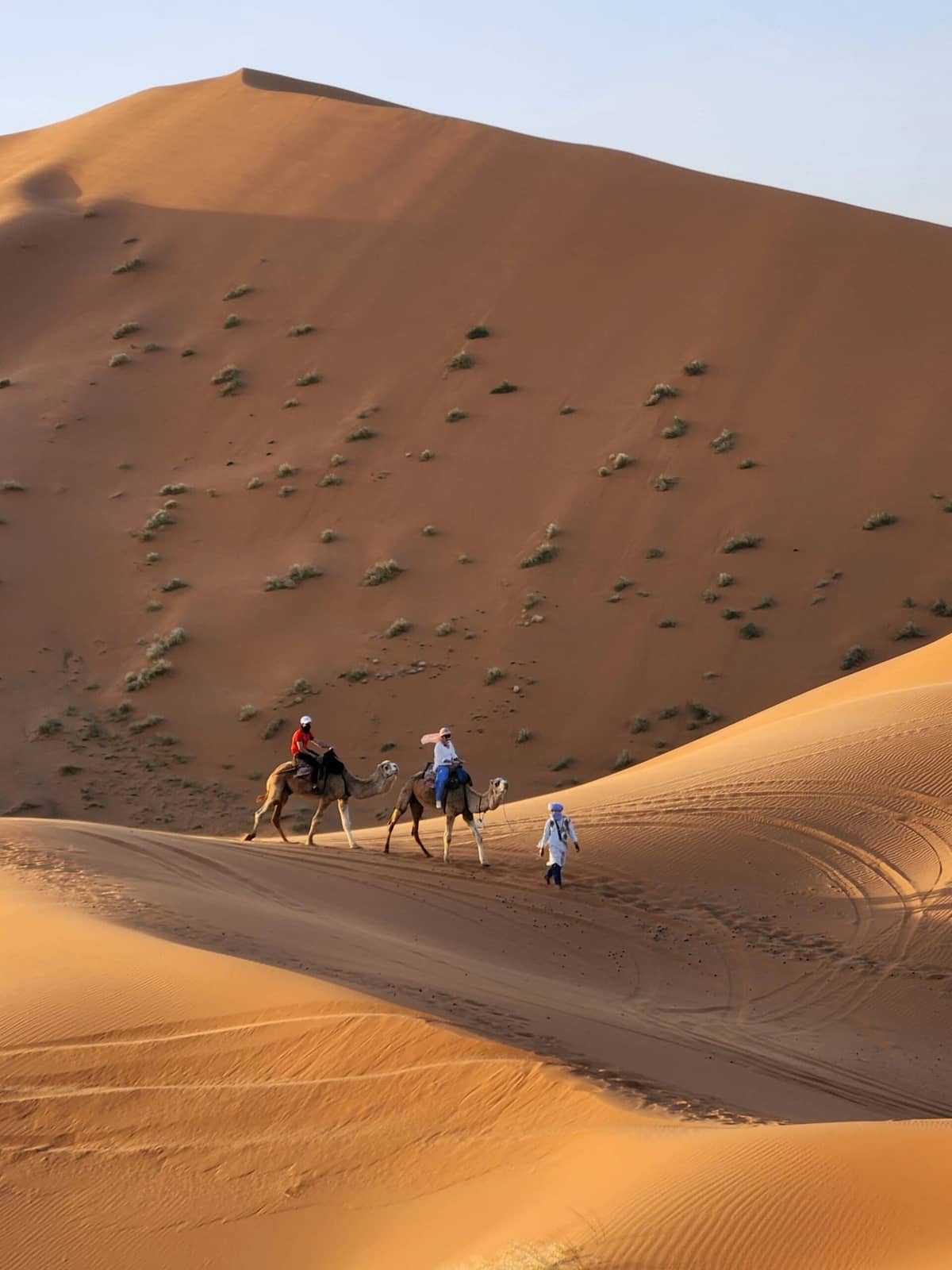Camel trek across the Erg Chebbi dunes during a 10 Day Itinerary Morocco adventure