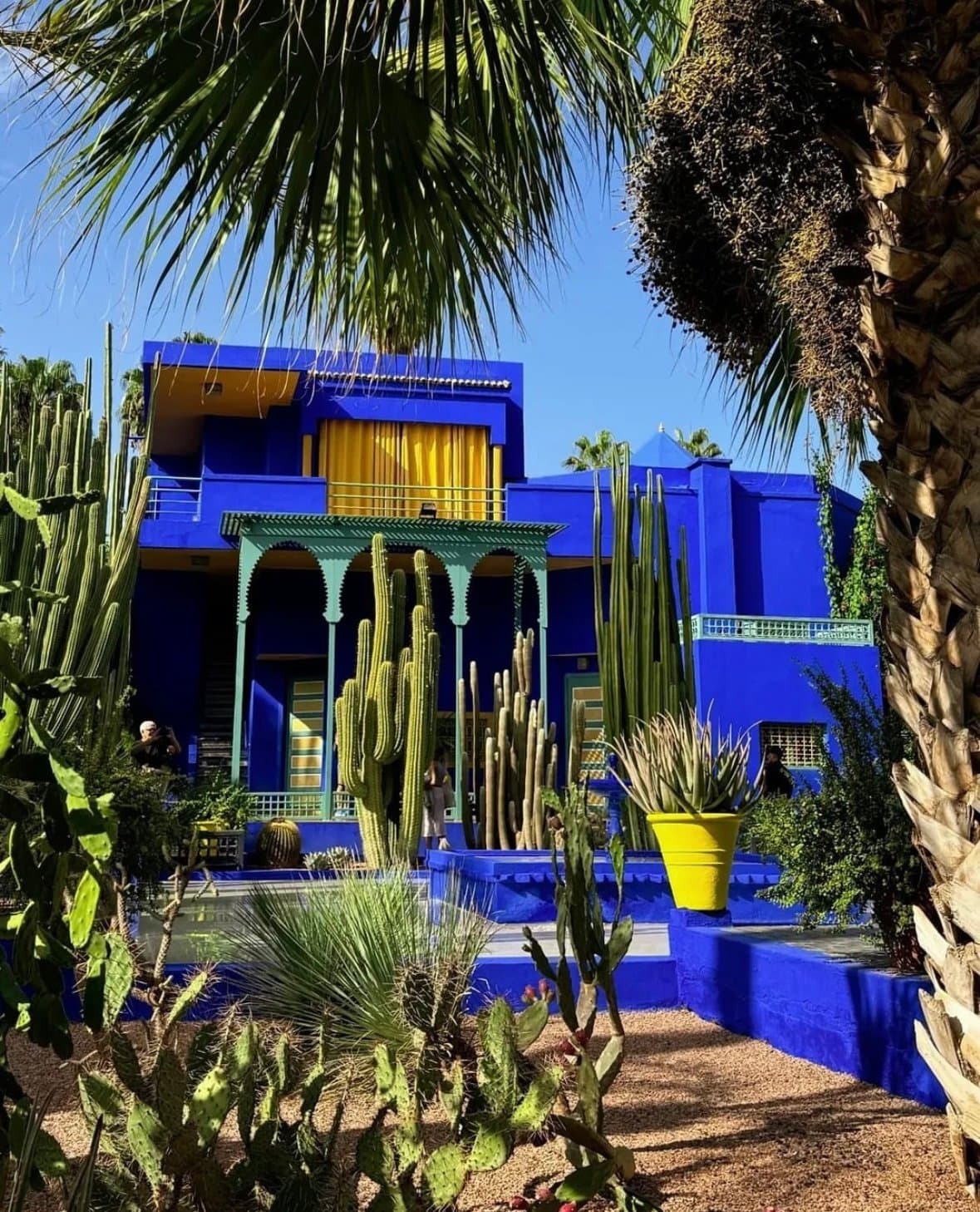 Marrakech Gardens – Majorelle Garden in Marrakech Morocco