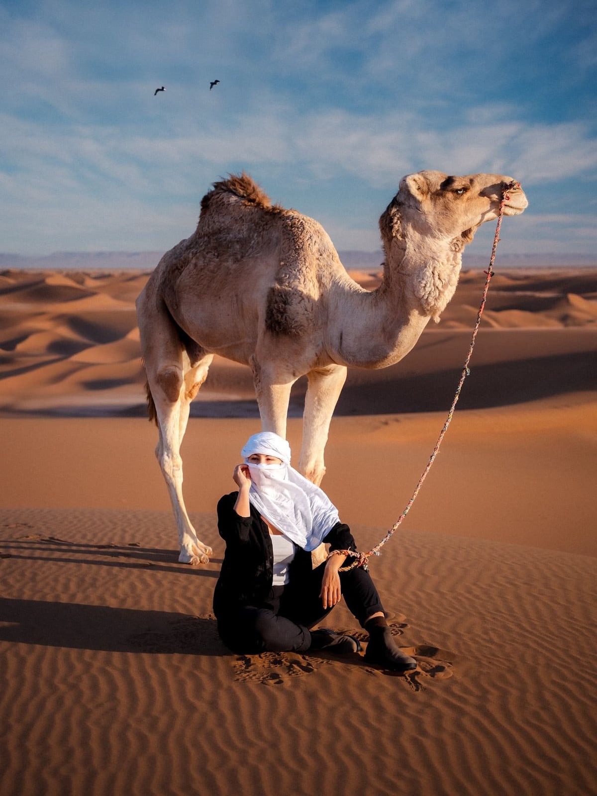 fes to marrakech desert tour 4 days camel trek in merzouga erg chebbi dunes