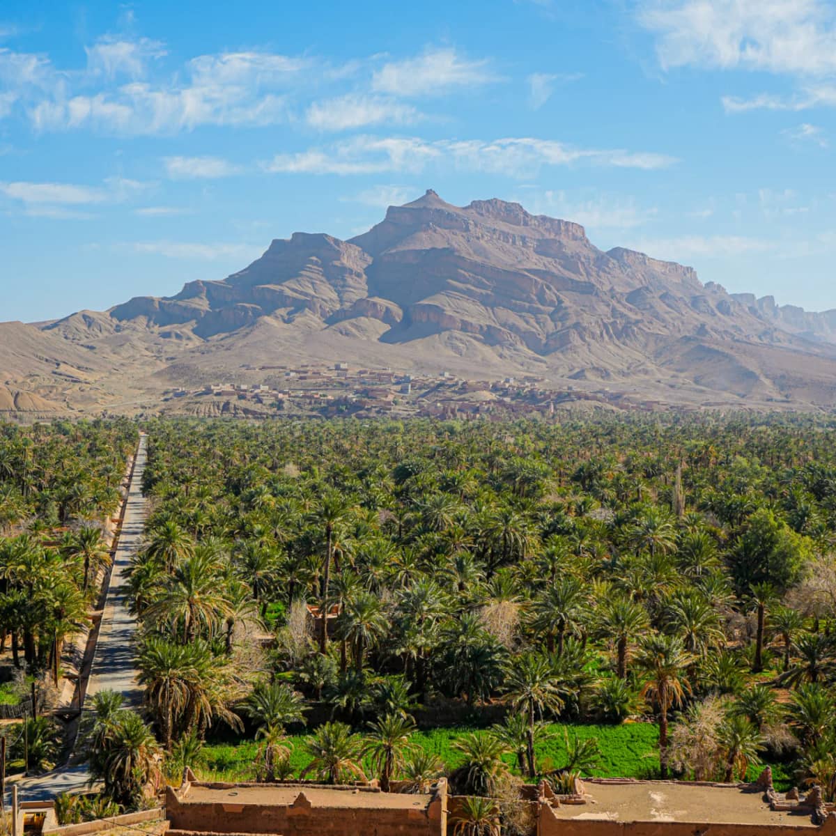 Panoramic view of Agdez and the Draa Valley during an 8 Days Morocco Itinerary in Morocco