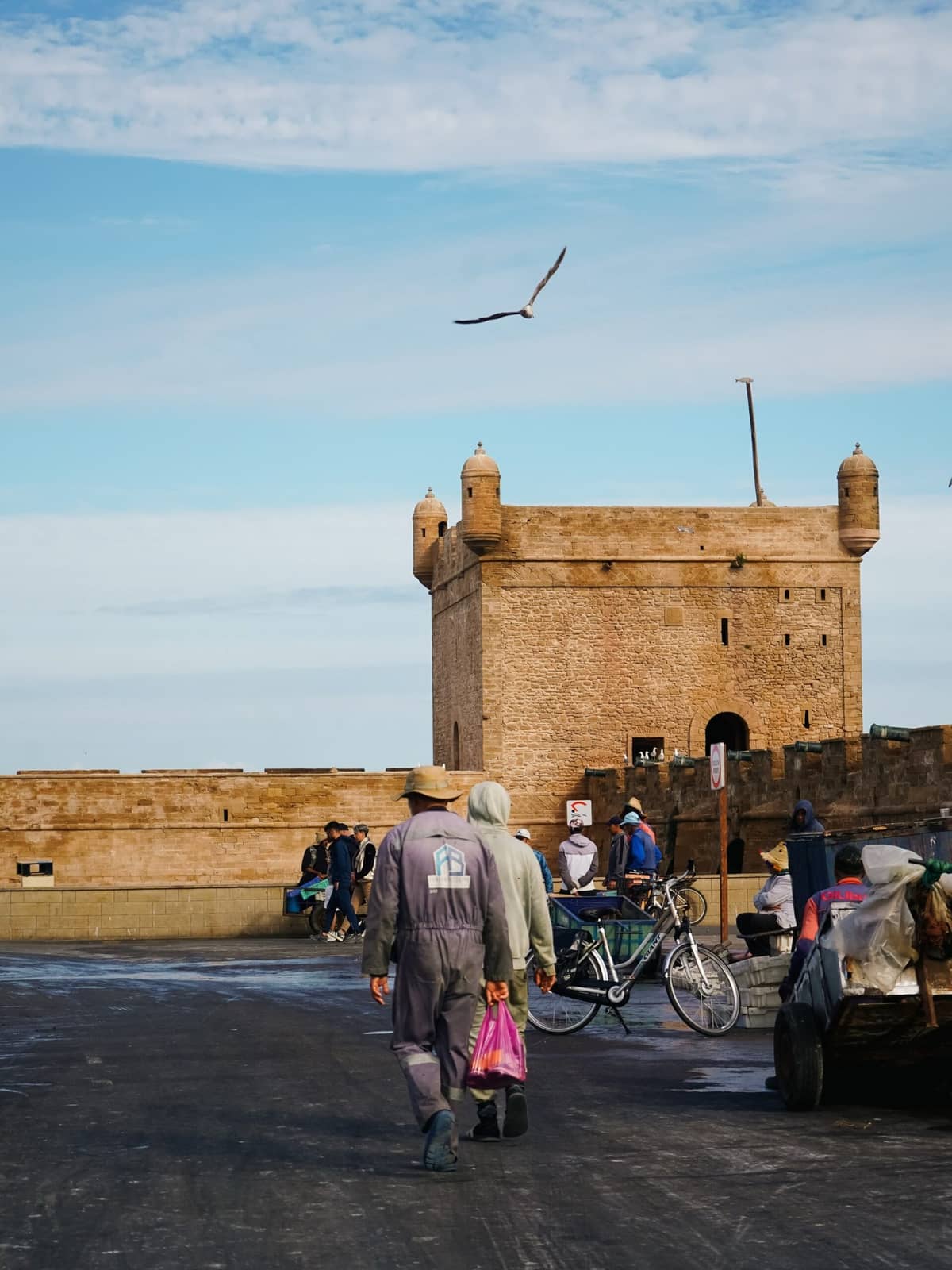 Historic fishing harbor and blue boats of Essaouira explored during a 9 Day Morocco Itinerary