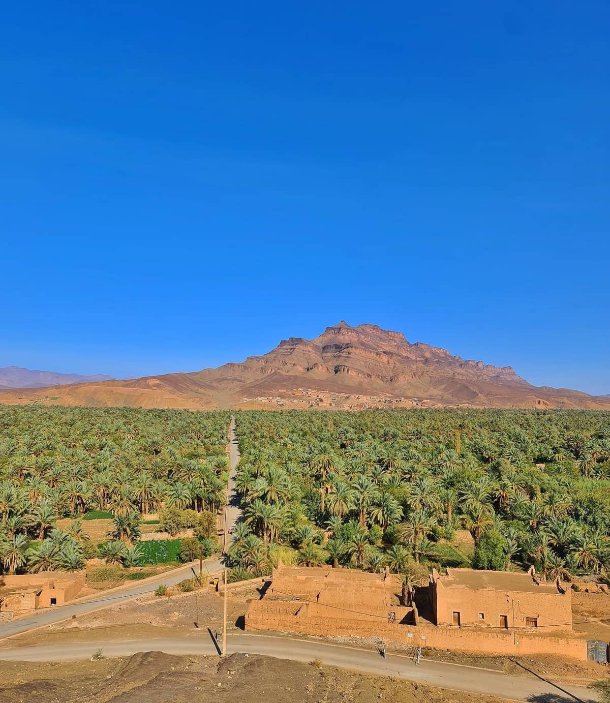 Stunning panoramic view of Agdz and the Draa Valley during a 4 Days Morocco Tour