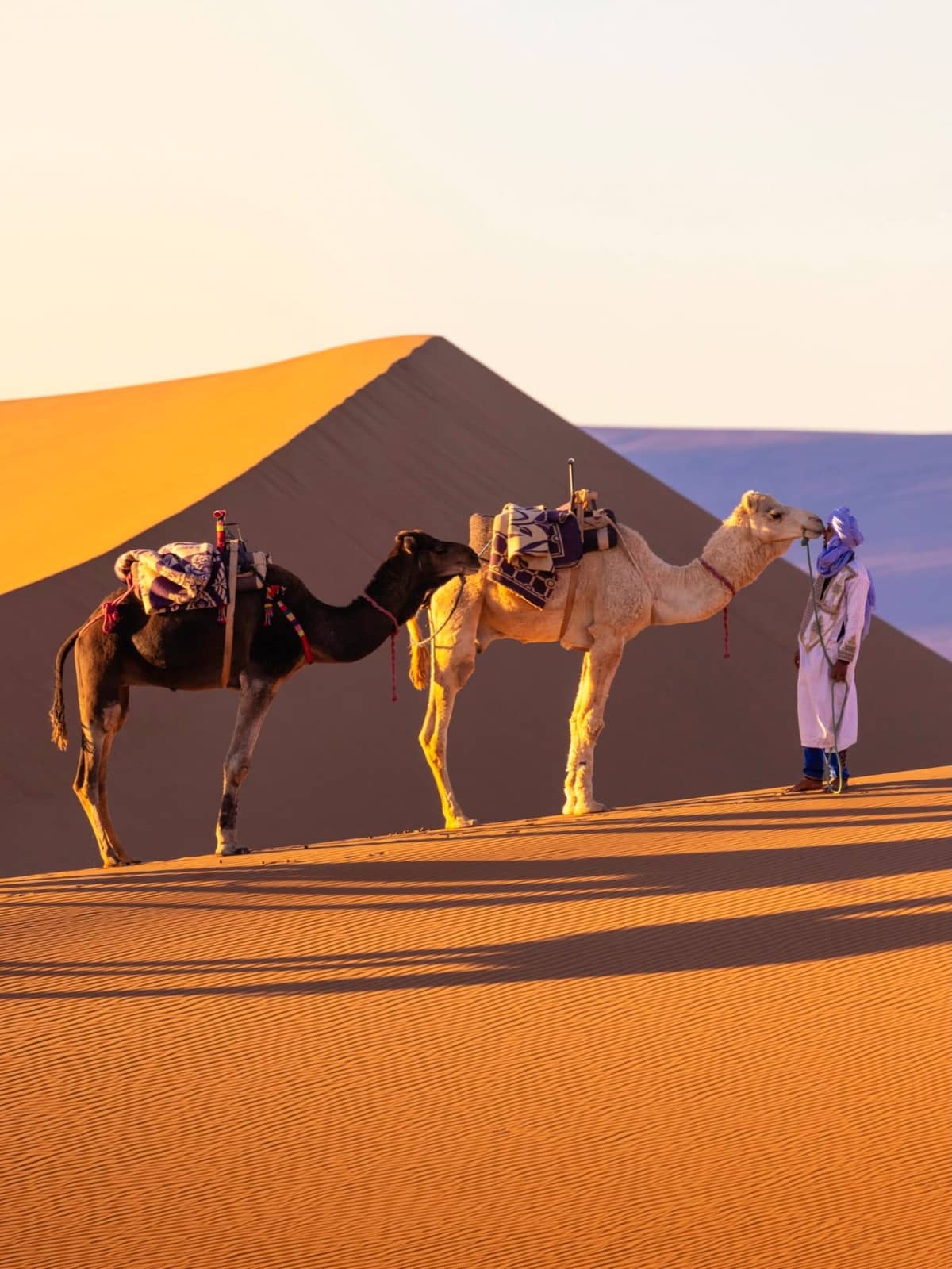 Travelers enjoying a camel trek across the Erg Chebbi dunes during a 5 Day Morocco Itinerary