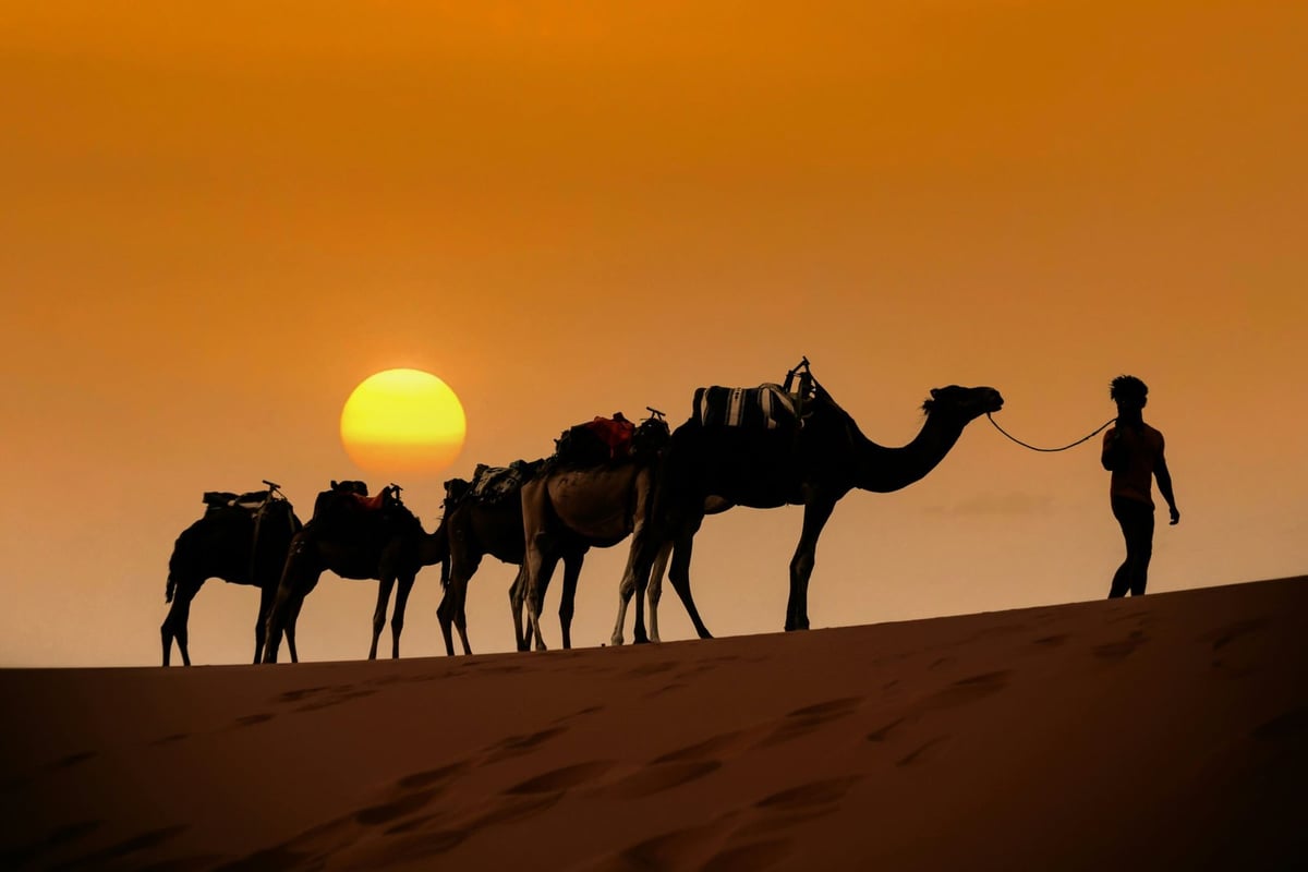 Golden Erg Chebbi sand dunes near Merzouga in the Moroccan Sahara