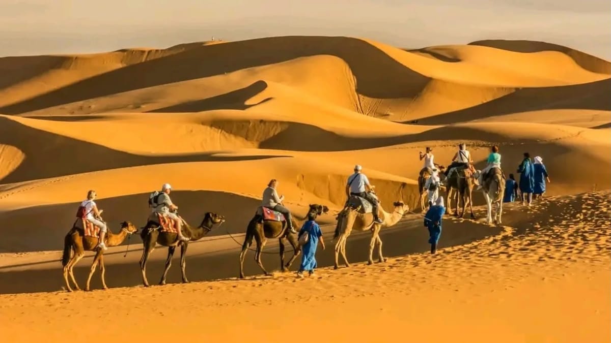 Best tours from Marrakech camel trek in the Sahara Desert alt text